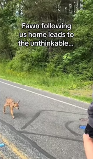 Wait it #animals #wholesome