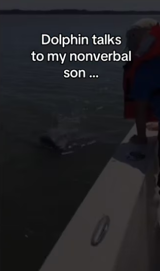 Dolphin talks to my nonverbal son …