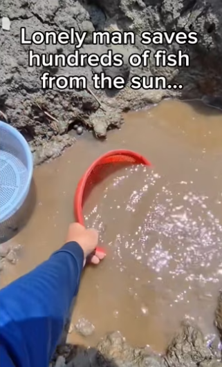 They grew so big #wholesome #animals