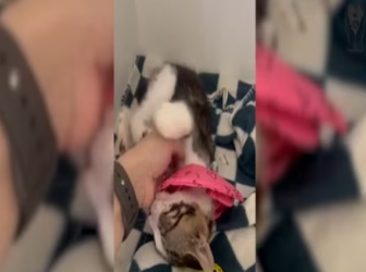 He Was Wasting Away Blind and Alone_part2