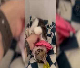 He Was Wasting Away Blind and Alone_part2