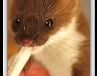 Girl found tiny baby on road then_part2