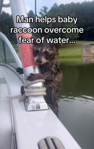 She did it! #wholesome #animalsoftiktok