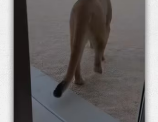 Definitely safe now #wholesome #animals_part2