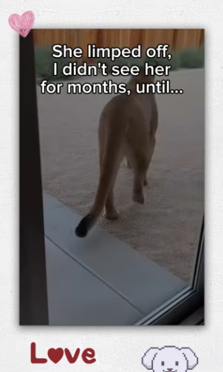 Definitely safe now #wholesome #animals_part2