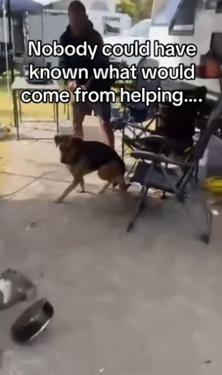 Baby gave hug #animalsoftiktok #wholesome