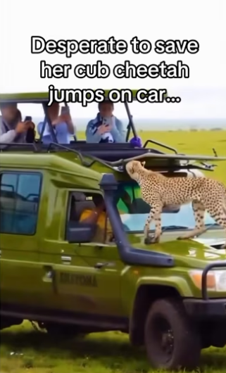 He of family now #wholesome #animalsoftiktok