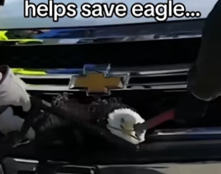 She started family at his house! #wholesome #animalsoftiktok