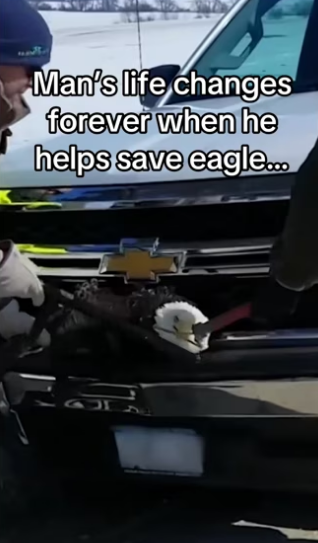 She started family at his house! #wholesome #animalsoftiktok