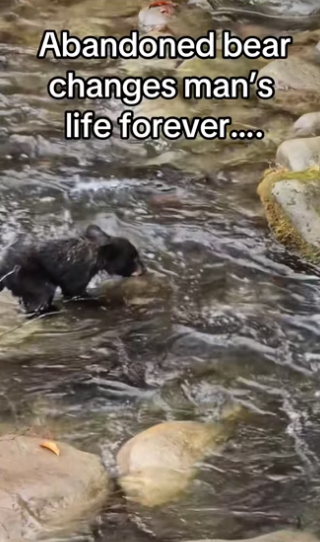 They became besties #wholesome #animalsoftiktok