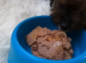 He lay helplessly on the side of the road waiting for his own end, I …