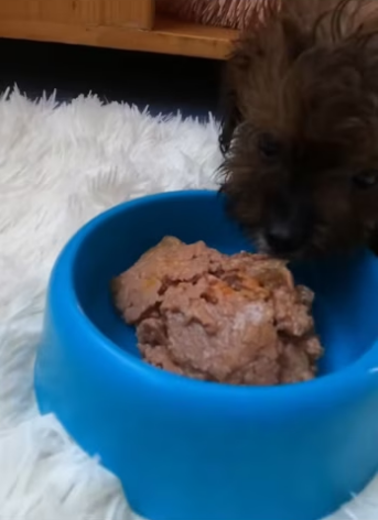 He lay helplessly on the side of the road waiting for his own end, I …