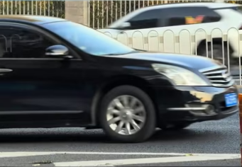 saw little pig stuck in fence in middle of road. re…