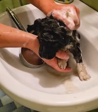 TikDown.com_TikTok_Media_001_b02ec74c8e82518ae4d5727499a47655