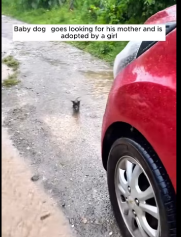 TikTok video #7443094389267795246