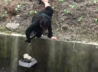 We found a puppy trapped under a drainage ditch and then…… #rescue #r…