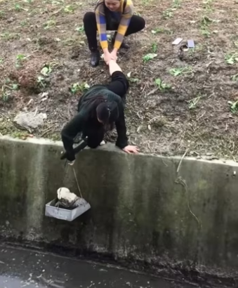 We found a puppy trapped under a drainage ditch and then…… #rescue #r…