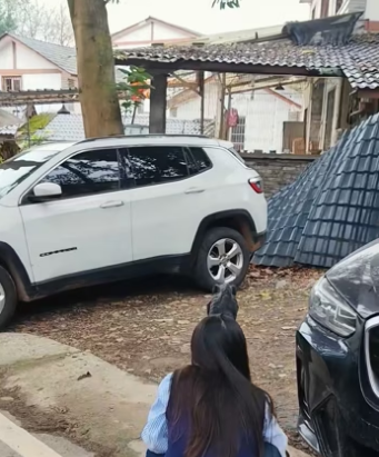 We spotted an extremely skinny, abandoned dog it walked away as s…