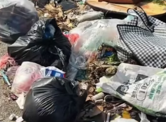 The baby dog always considers this landfill his home every day, but n…