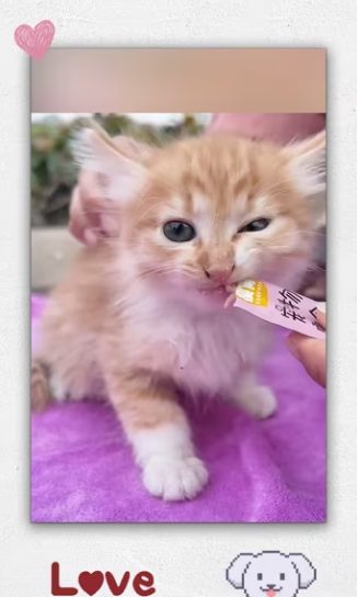 Lady was recuse kitty was trapped in water god ble_part2