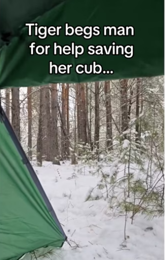 She was so happy to see her! #wholesome #animalsoftiktok