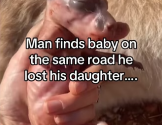 Magical moment on camera #kangaroo #wholesome