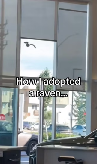 Bestie now #wholesome #animalsoftiktok