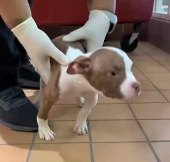 H2801001_tiktok_7565620984787553558_7565620984787553558