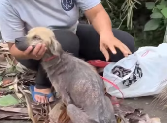 H2801002_tiktok_7565134634791587094_7565134634791587094