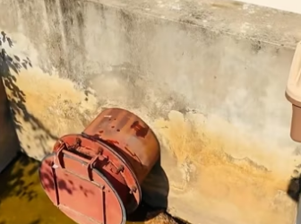 H2801005_Rescue the dying dog lying under the water tank. #rescue #rescueanima…