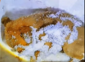 H2801001_Rescue a puppuy in cold winter�����������❤️❤️❤️❤️❤️❤️#rescue #rescued…