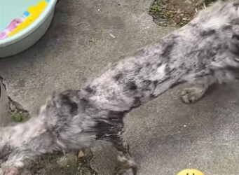 H2801001_tiktok_7569222547900763405_7569222547900763405