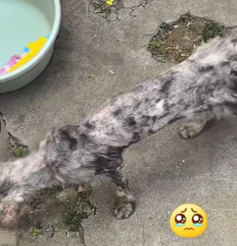 H2801001_tiktok_7569222547900763405_7569222547900763405