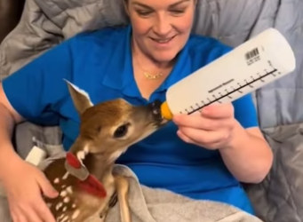 H2801003_tiktok_7566696067673214230_7566696067673214230