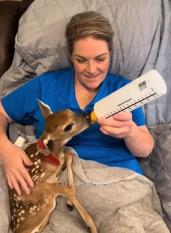 H2801003_tiktok_7566696067673214230_7566696067673214230