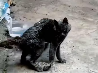 H2801004_tiktok_7567912598083996950_7567912598083996950