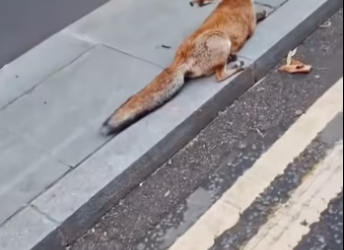 H2801005_tiktok_7566320966477958422_7566320966477958422