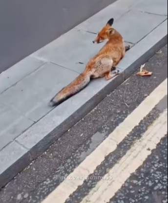 H2801005_tiktok_7566320966477958422_7566320966477958422