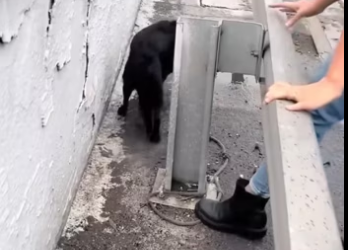 H2801003_tiktok_7569386856127778051_7569386856127778051