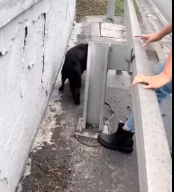 H2801003_tiktok_7569386856127778051_7569386856127778051