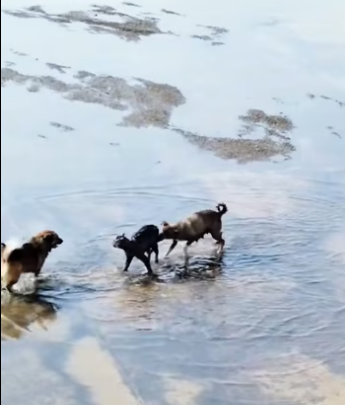 H2801001_tiktok_7571444543535582519_7571444543535582519