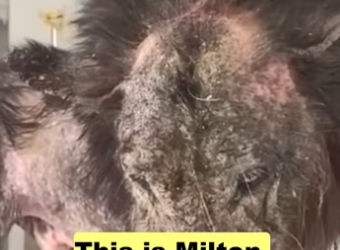 H2801003_tiktok_7572569094654889238_7572569094654889238