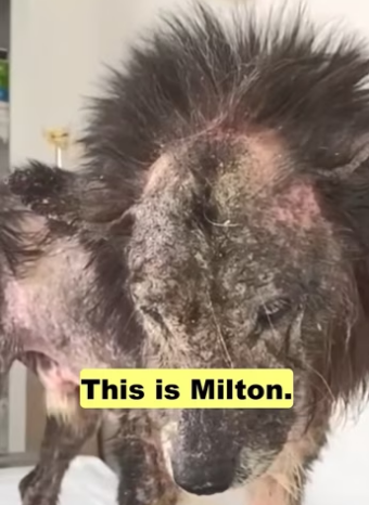 H2801003_tiktok_7572569094654889238_7572569094654889238