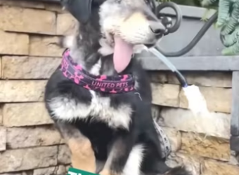 H2801001_tiktok_7574411137735789847_7574411137735789847