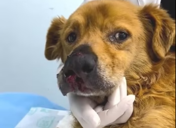 H2801003_tiktok_7573401378526366999_7573401378526366999