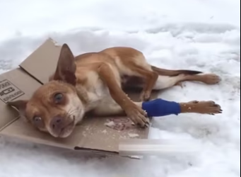 H2801004_tiktok_7573395759865810198_7573395759865810198