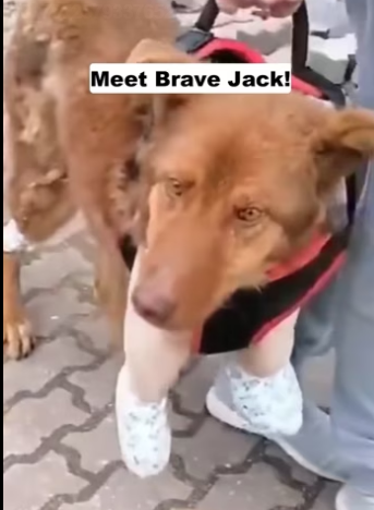 H2801005_tiktok_7572579337652751638_7572579337652751638