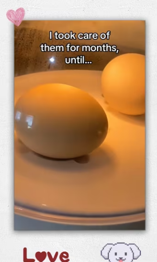 She remembered them months later #wholesome_part2