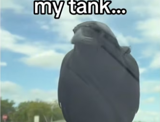 H2901001_Unmatched intelligence #wholesome #animals