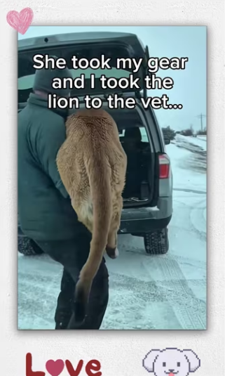 She returned favor months later #wholesome #animal_part2